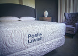 Posh+Lavish Reveal Latex