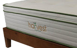Green Pillow-Top