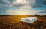 Green Pillow-Top