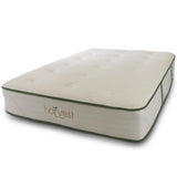 Green Plush 2 Sided