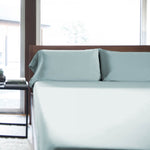 Queen Rayon From Bamboo Sheet Set